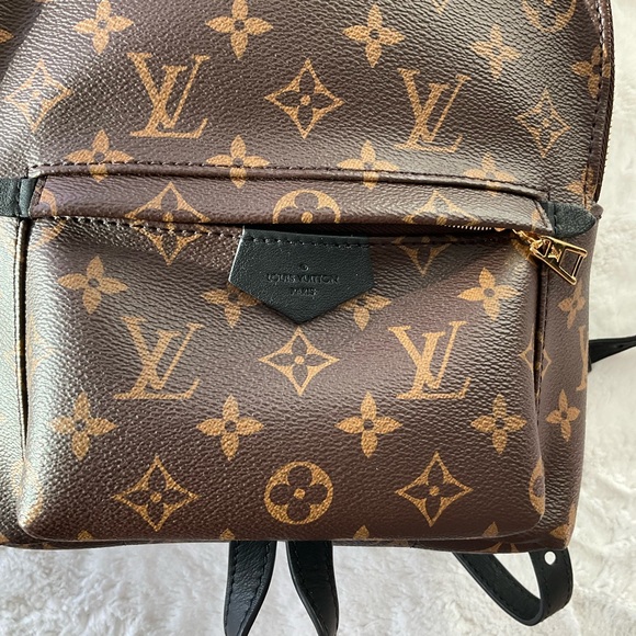 Louis Vuitton Palm Springs PM Monogram Backpack - Picture 2 of 14
